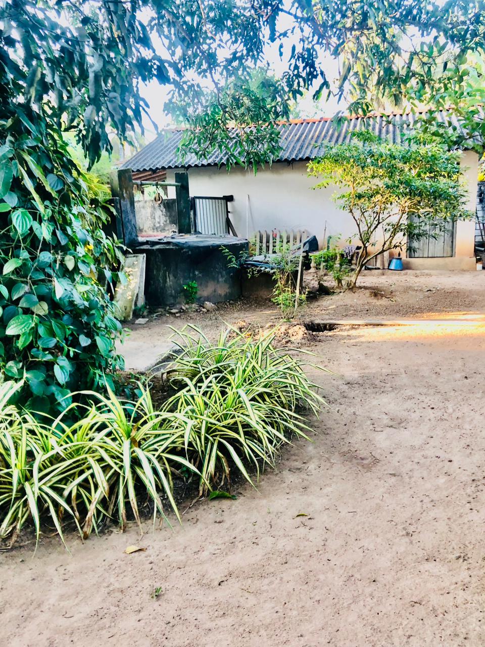 House for Sale Kuliyapitiya
