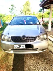 WhatsApp-Image-2026-02-17-at-9.31.55-AM