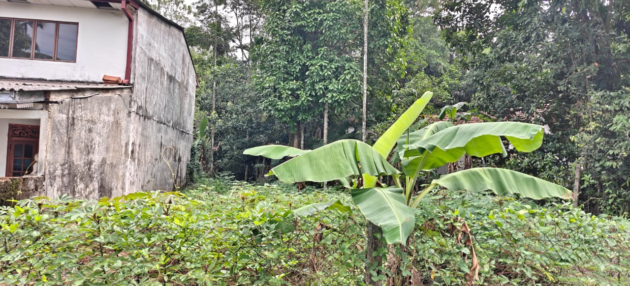 Commercial Land for Sale in Meegoda