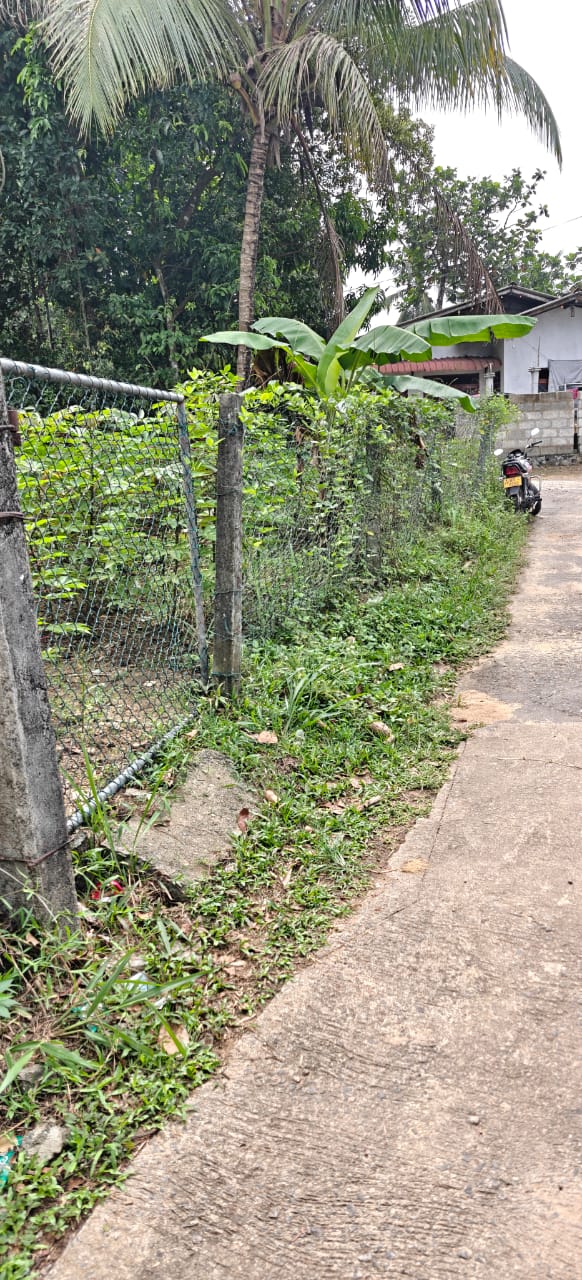 Commercial Land for Sale in Meegoda