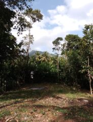 WhatsApp-Image-2026-02-18-at-11.25.42-AM