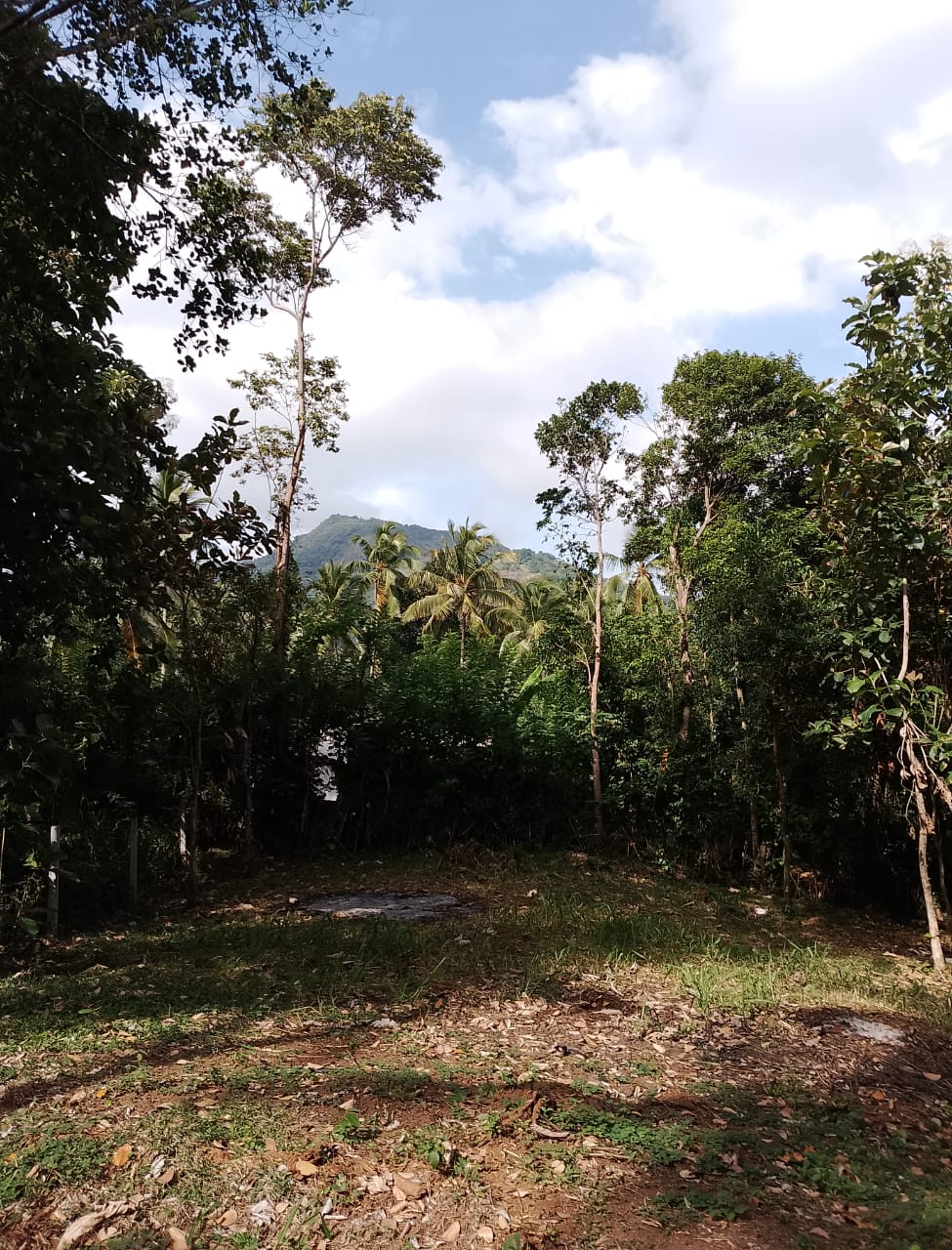 Land for Sale in Palapathwela