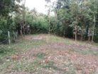 Land for Sale in Palapathwela