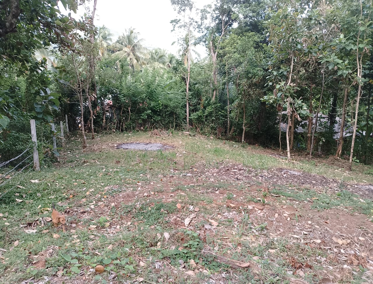 Land for Sale in Palapathwela