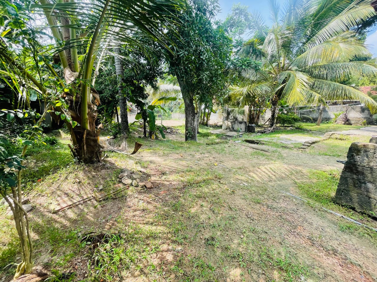 නිවසක් සමග ඉඩමක් විකිණීමට Pallawawa.