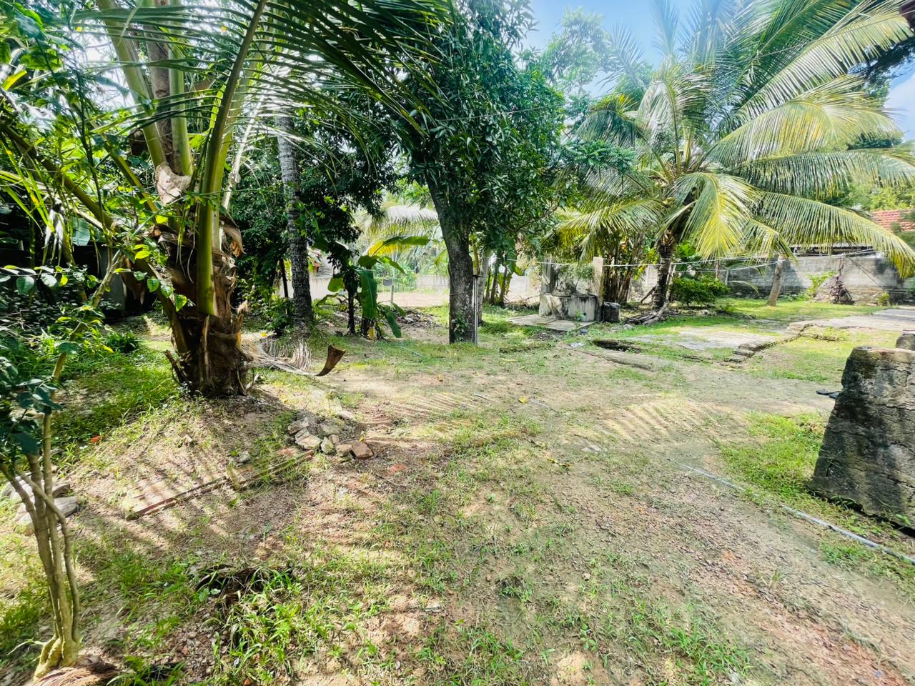 නිවසක් සමග ඉඩමක් විකිණීමට Pallawawa.