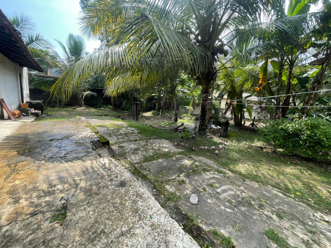 නිවසක් සමග ඉඩමක් විකිණීමට Pallawawa.