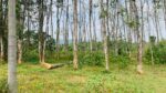 Rubber Land for Sale in Pugoda