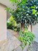 House for Sale Galle