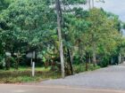 Land for Sale in Kesbewa Jamburaliya