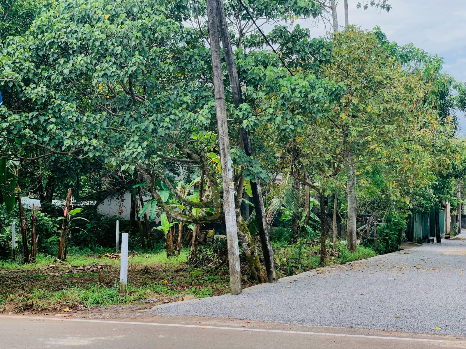 Land for Sale in Kesbewa Jamburaliya