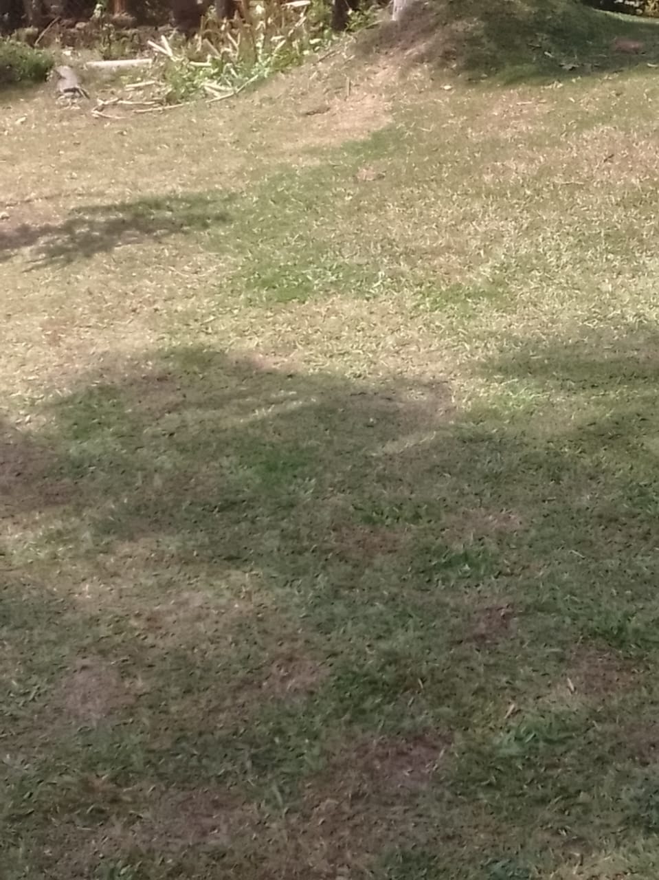 Land for Sale in Divulapitiya