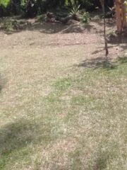 WhatsApp-Image-2026-02-20-at-11.02.14