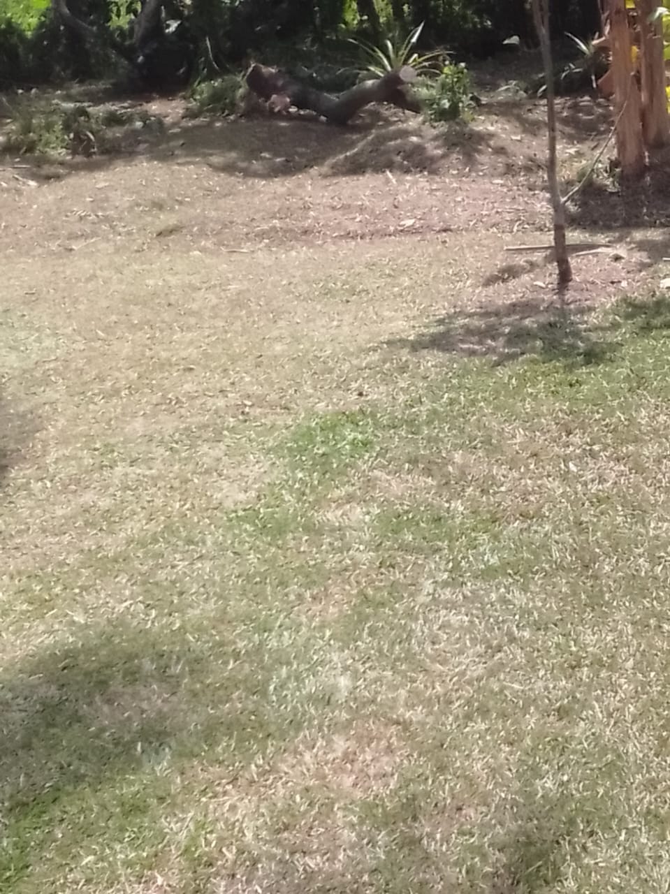 Land for Sale in Divulapitiya