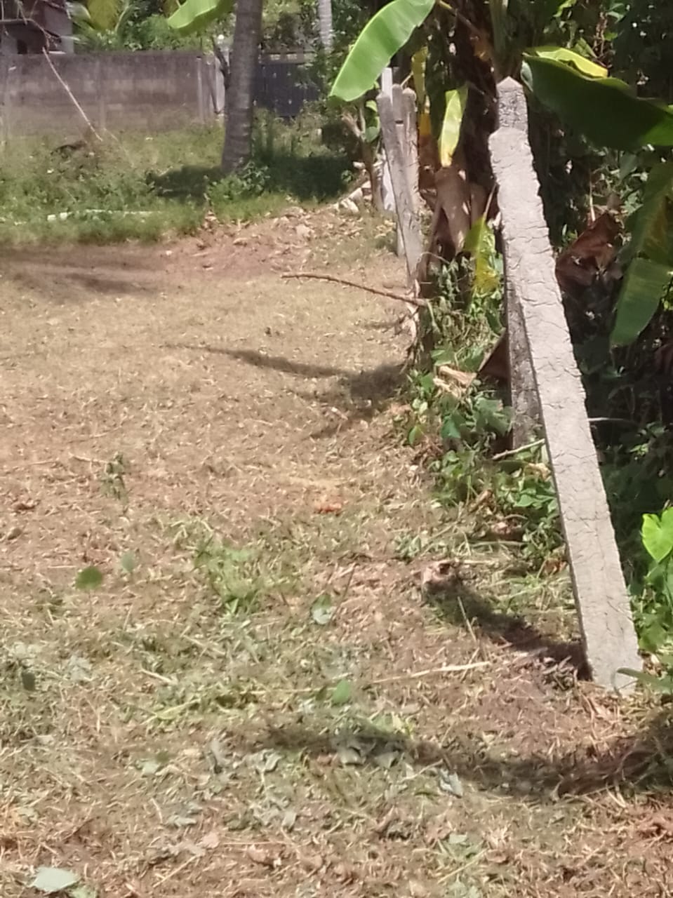 Land for Sale in Divulapitiya