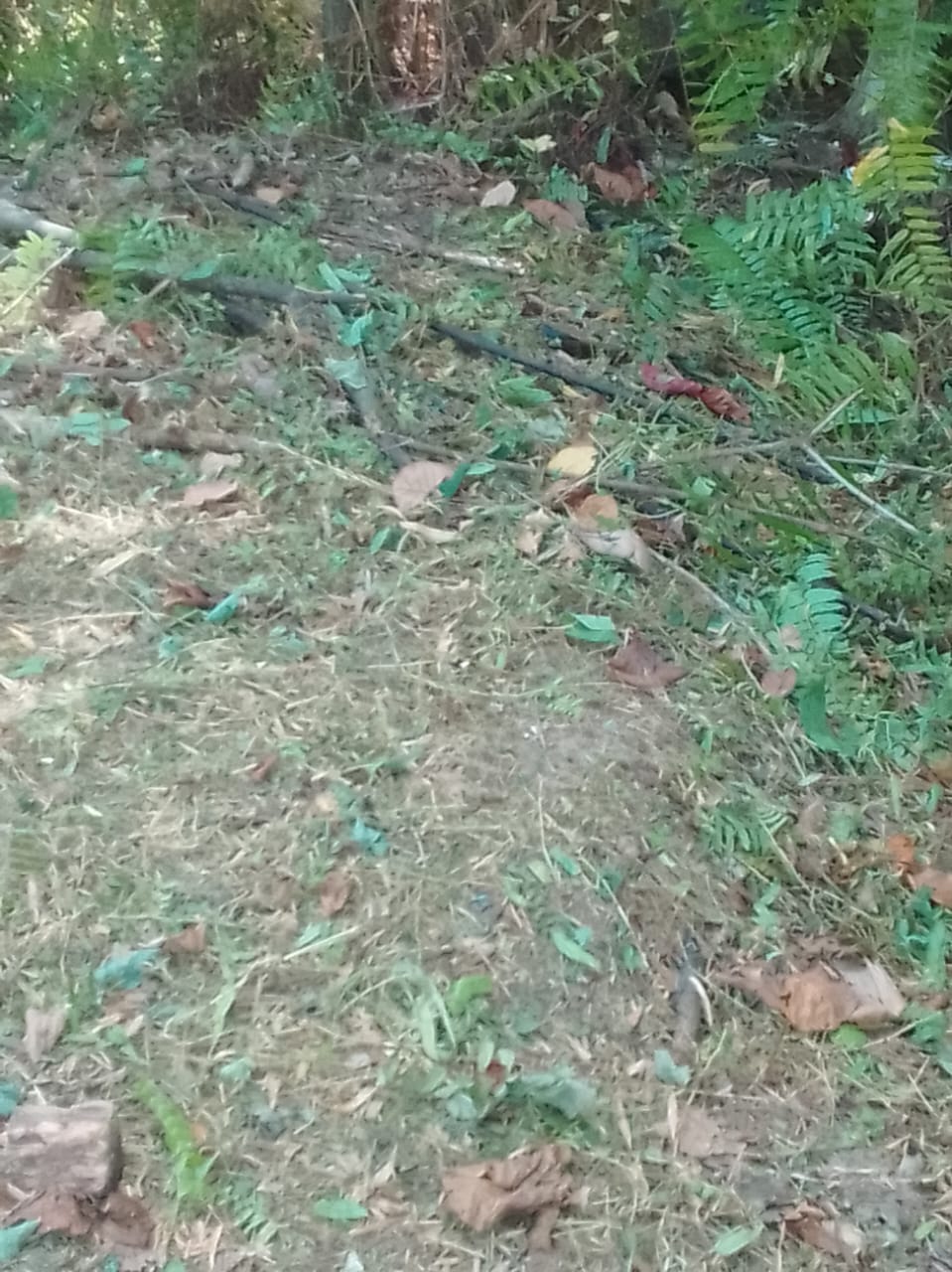 Land for Sale in Divulapitiya