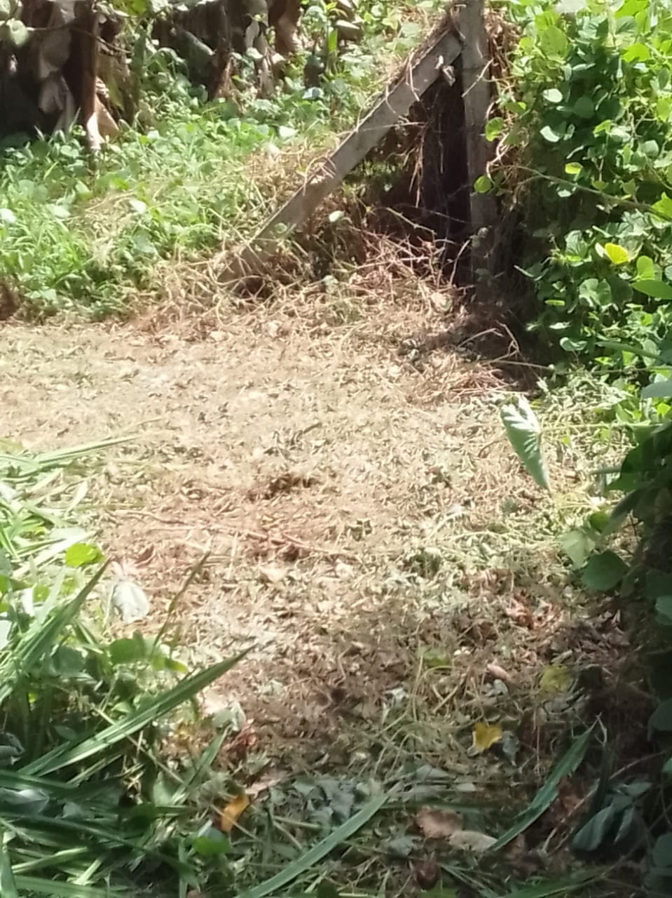 Land for Sale in Divulapitiya