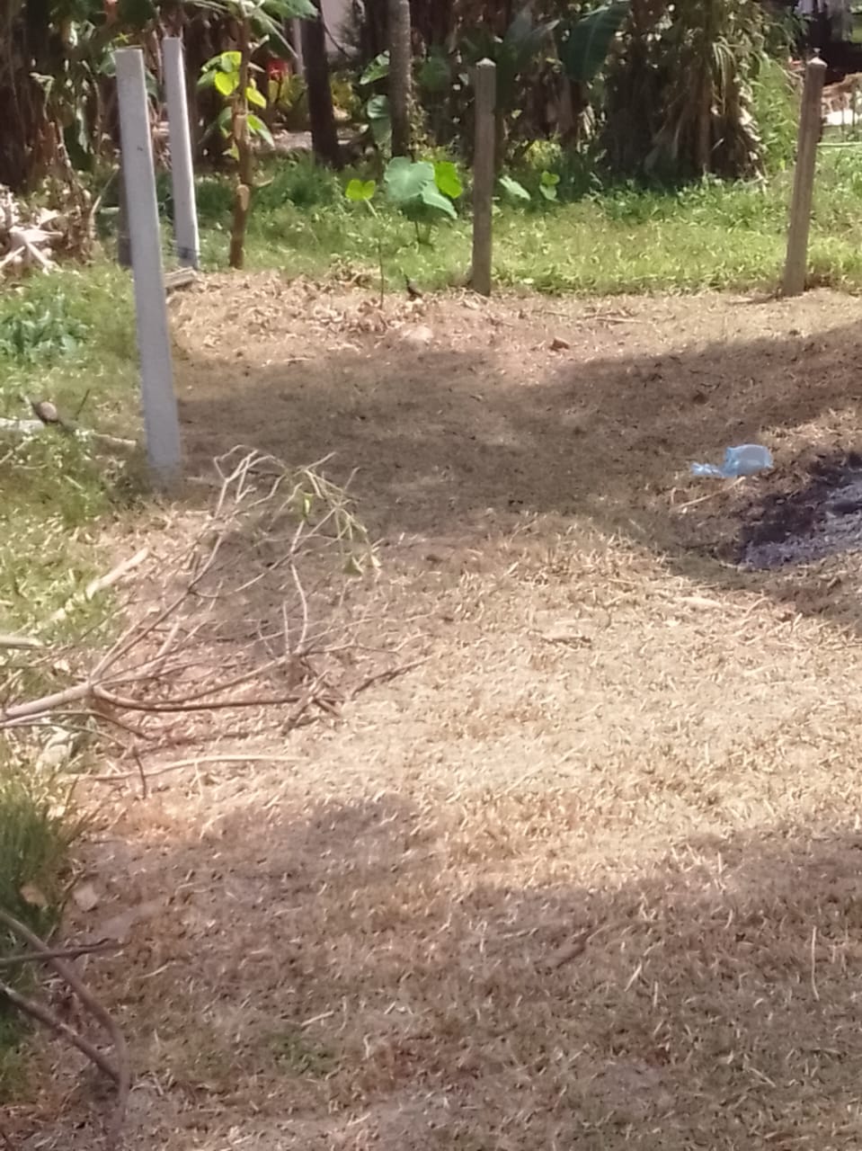 Land for Sale in Divulapitiya