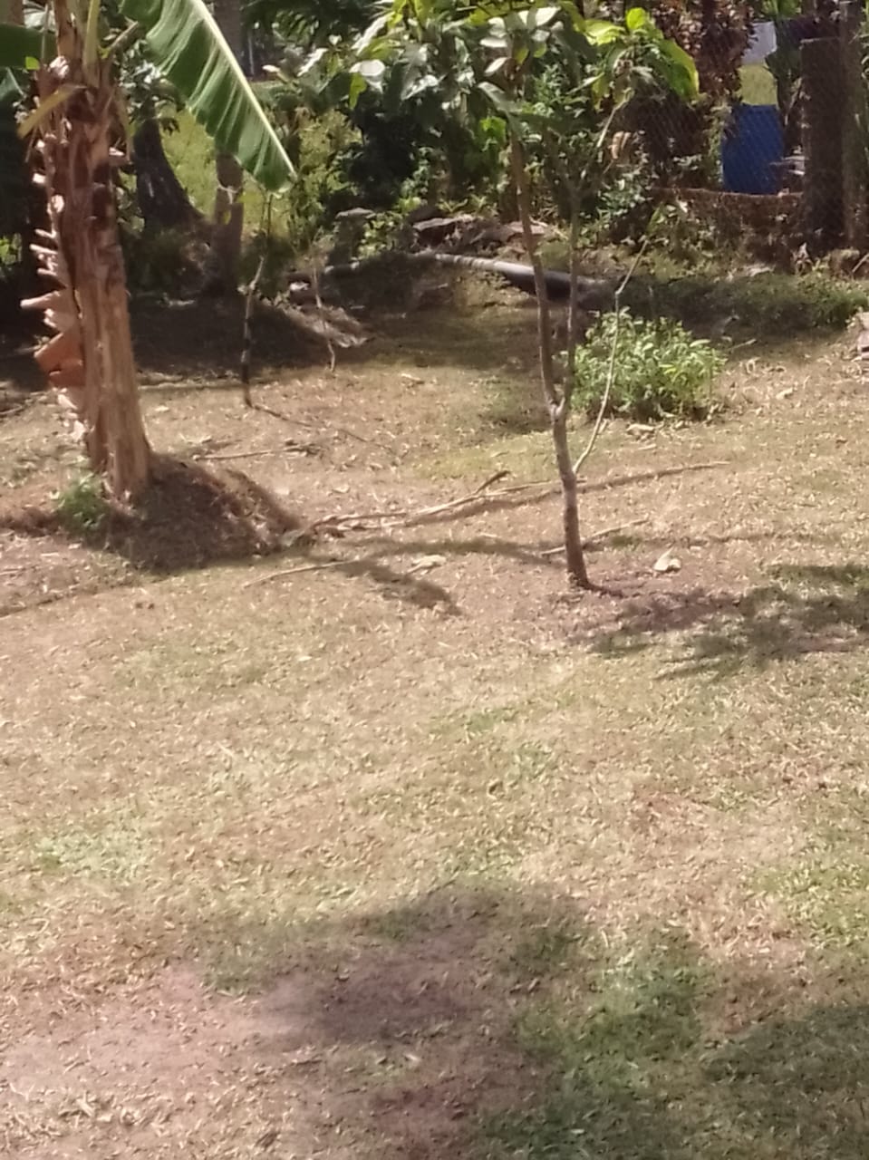 Land for Sale in Divulapitiya