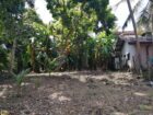 Residential Land for Sale in Kalutara