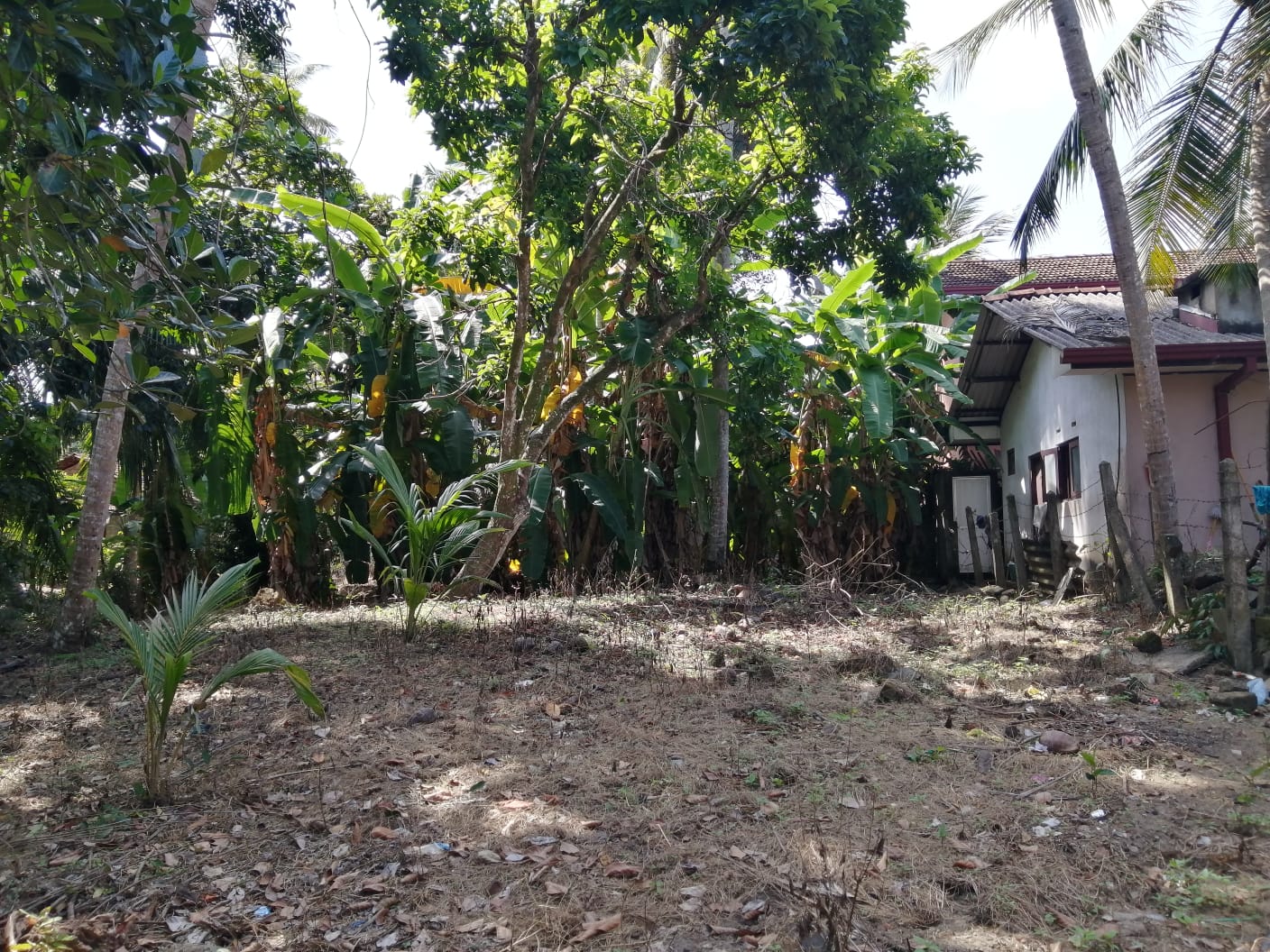 Residential Land for Sale in Kalutara