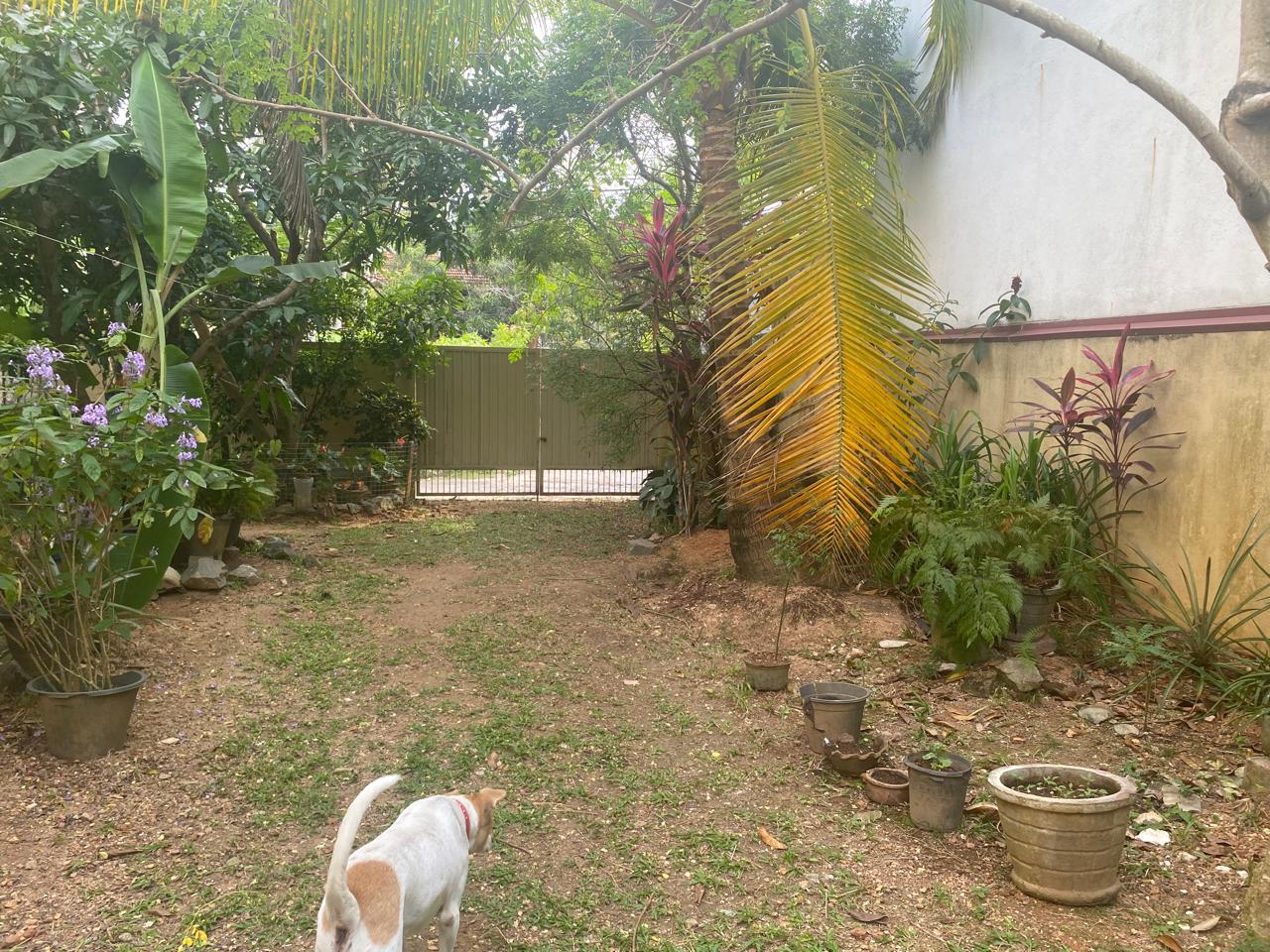 Land for Sale – Boralesgamuwa