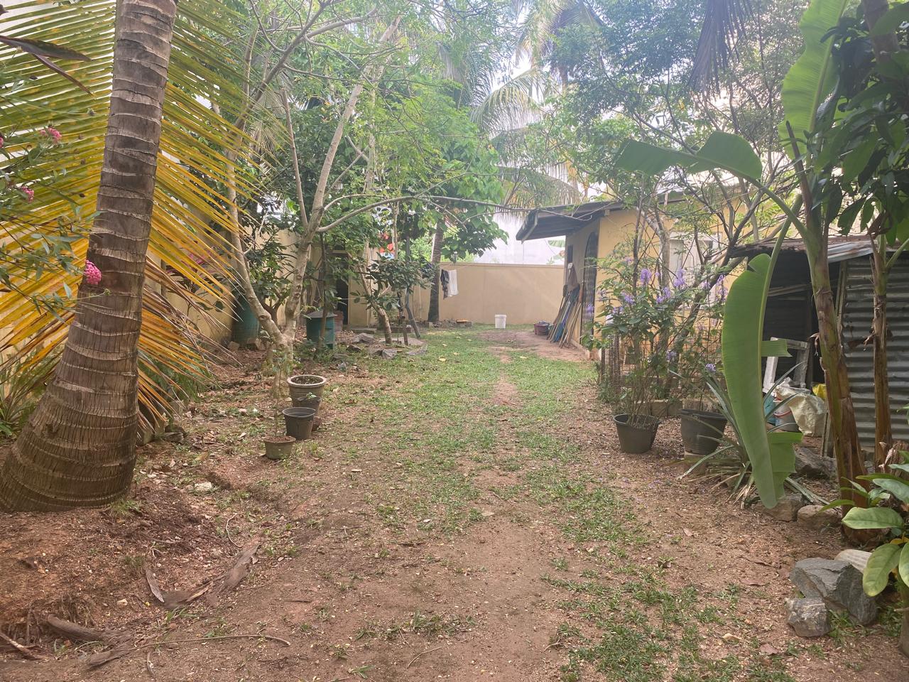 Land for Sale – Boralesgamuwa