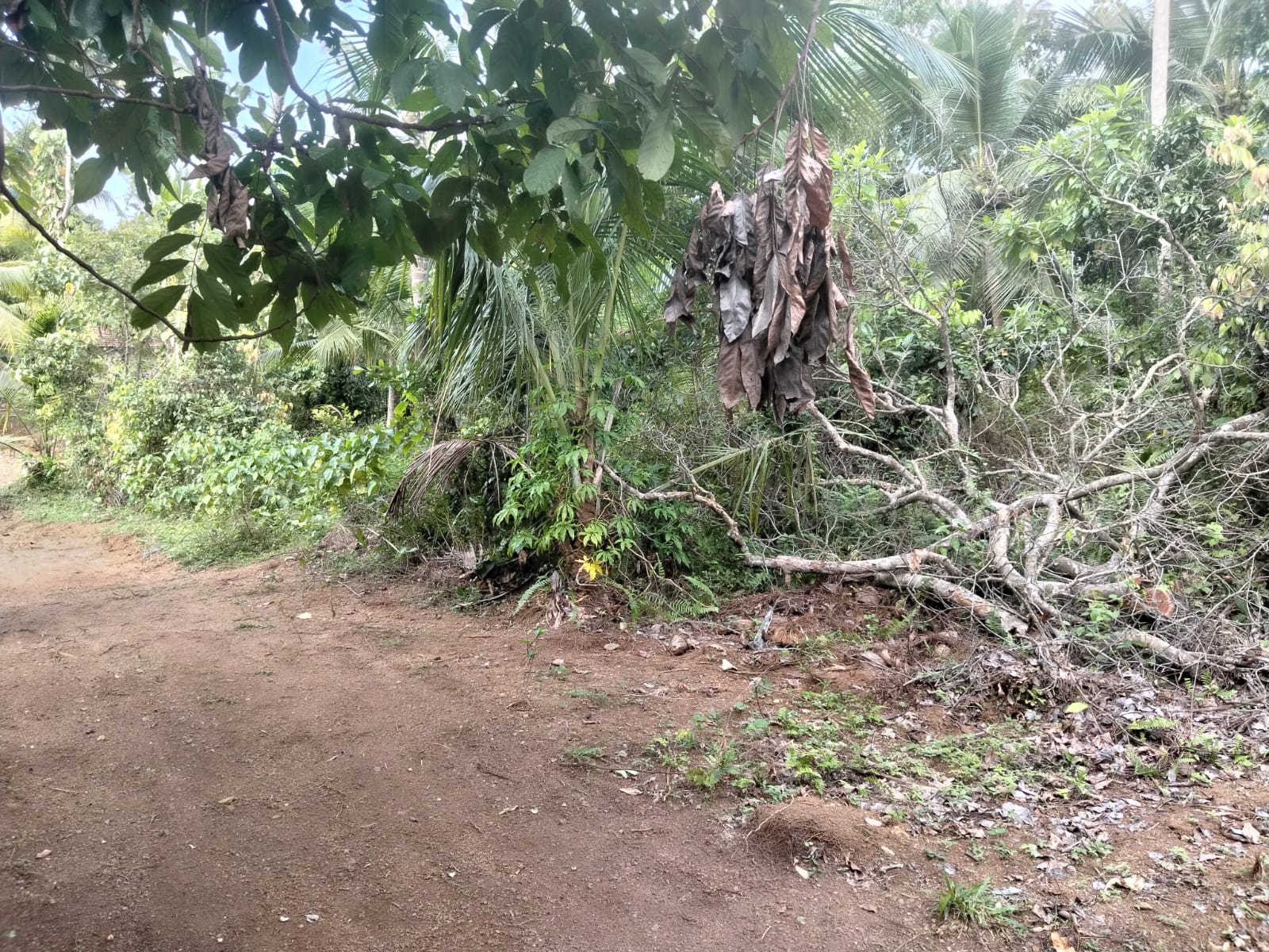 Exclusive Development Opportunity – 240 Perch Land | Gintota South