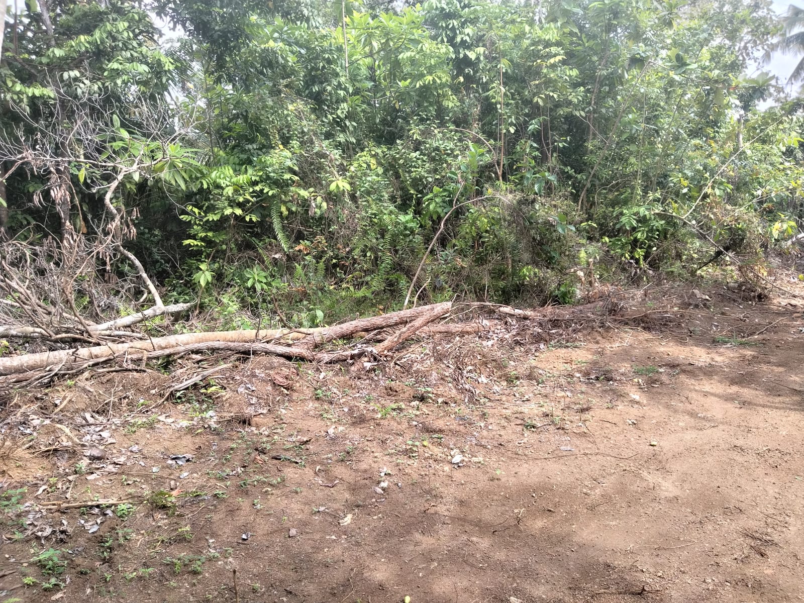 Exclusive Development Opportunity – 240 Perch Land | Gintota South