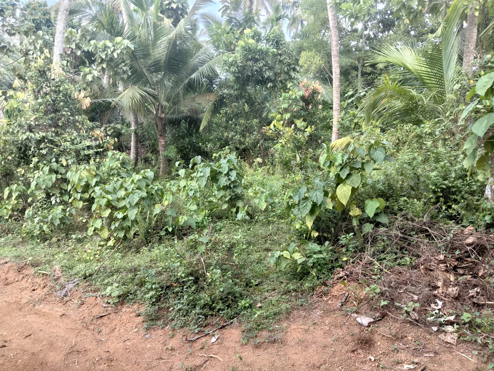 Exclusive Development Opportunity – 240 Perch Land | Gintota South