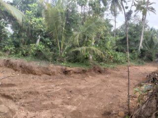 WhatsApp-Image-2026-02-21-at-11.19.58-1