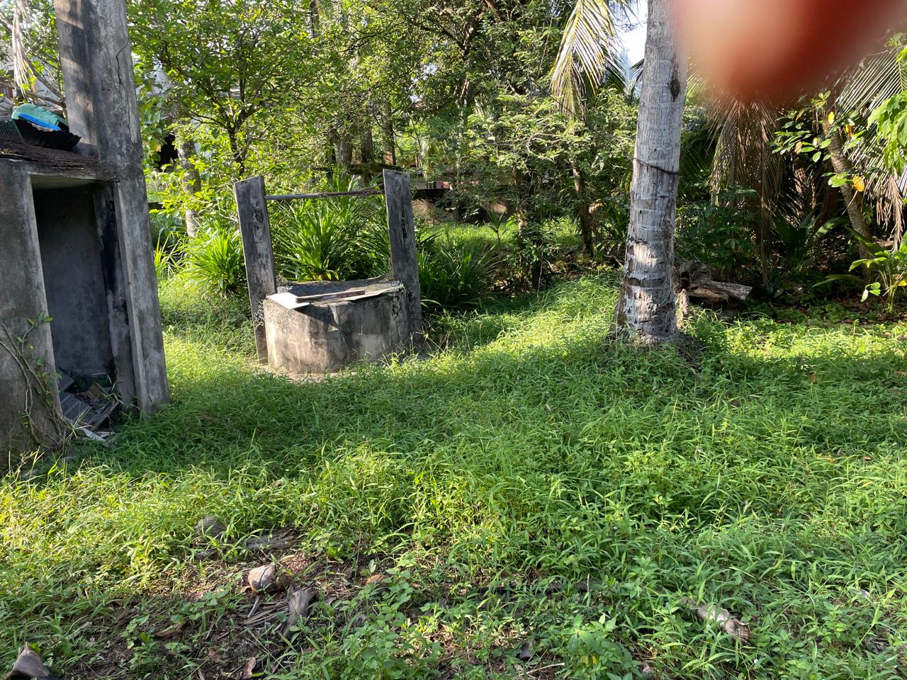 Land Sale in Pamunuwa