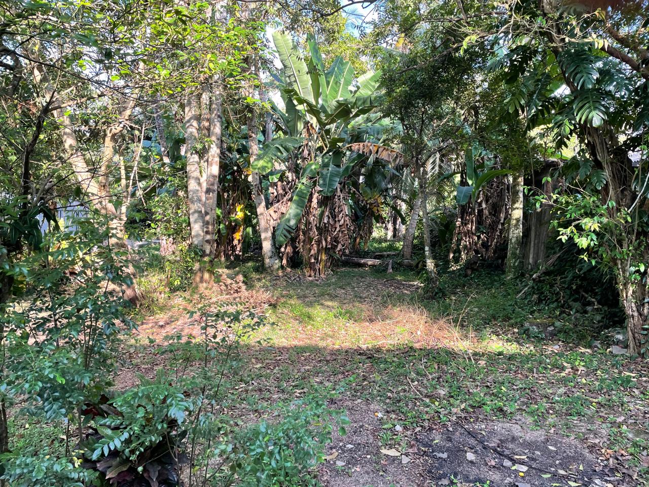 Land Sale in Pamunuwa