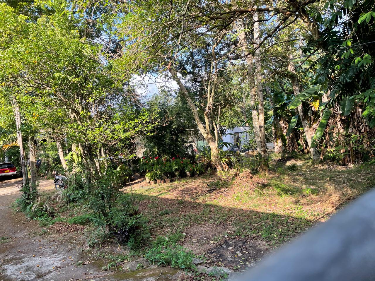 Land Sale in Pamunuwa