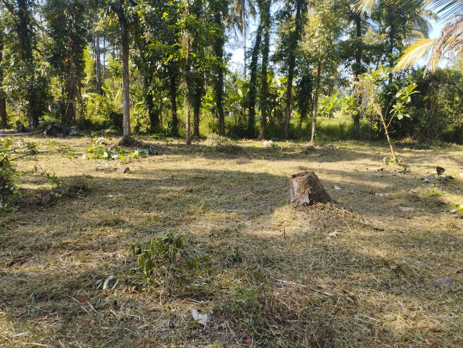 Residential Land for Sale near  Piduruwella