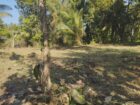 Residential Land for Sale near  Piduruwella