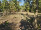 Residential Land for Sale near  Piduruwella