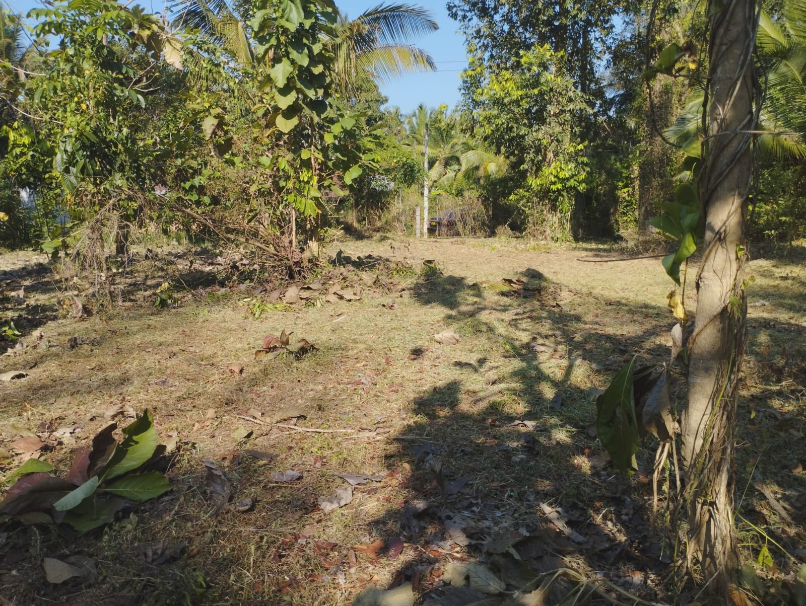 Residential Land for Sale near  Piduruwella