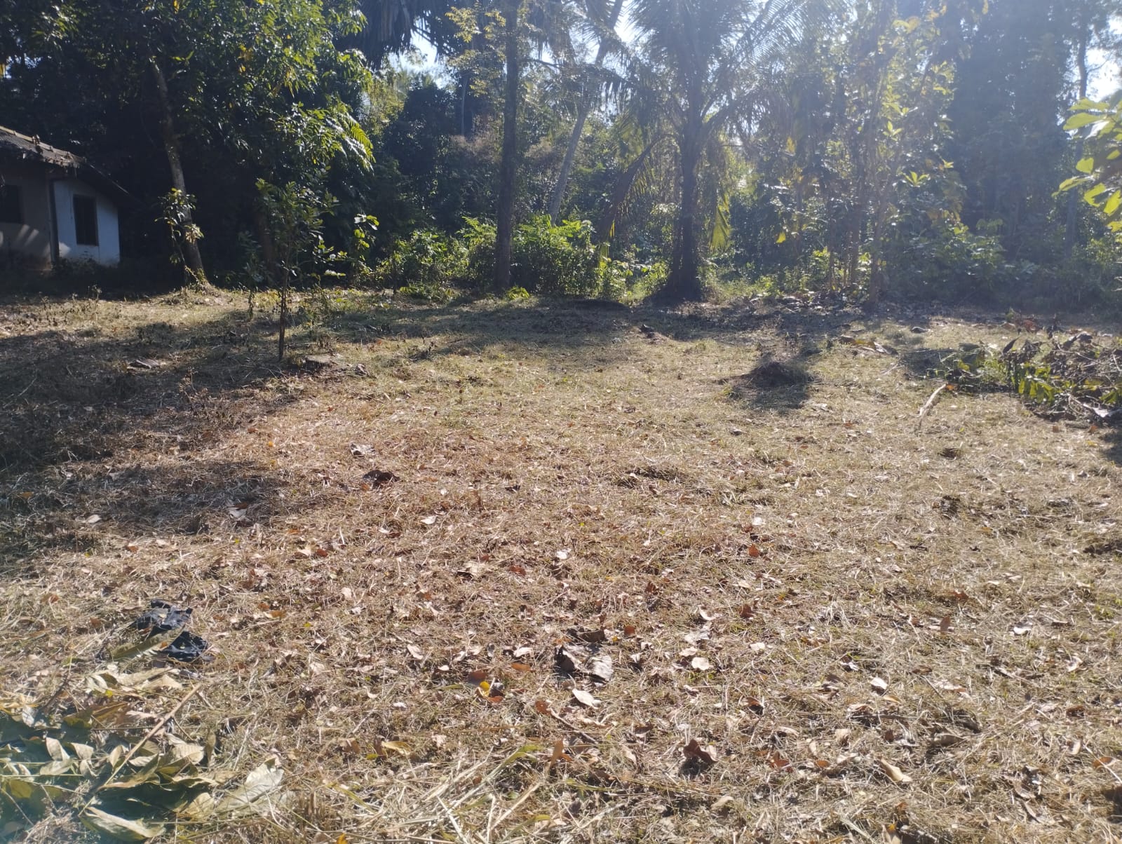 Residential Land for Sale near  Piduruwella