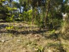 Residential Land for Sale near  Piduruwella