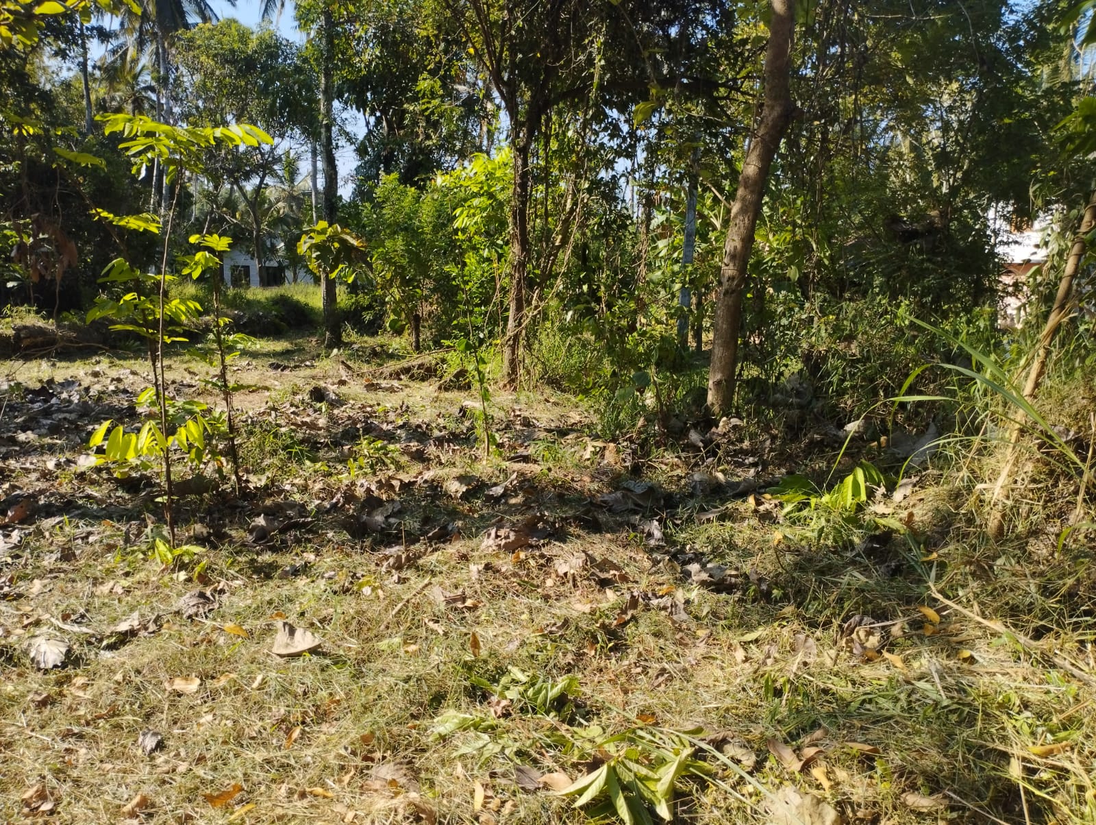 Residential Land for Sale near  Piduruwella
