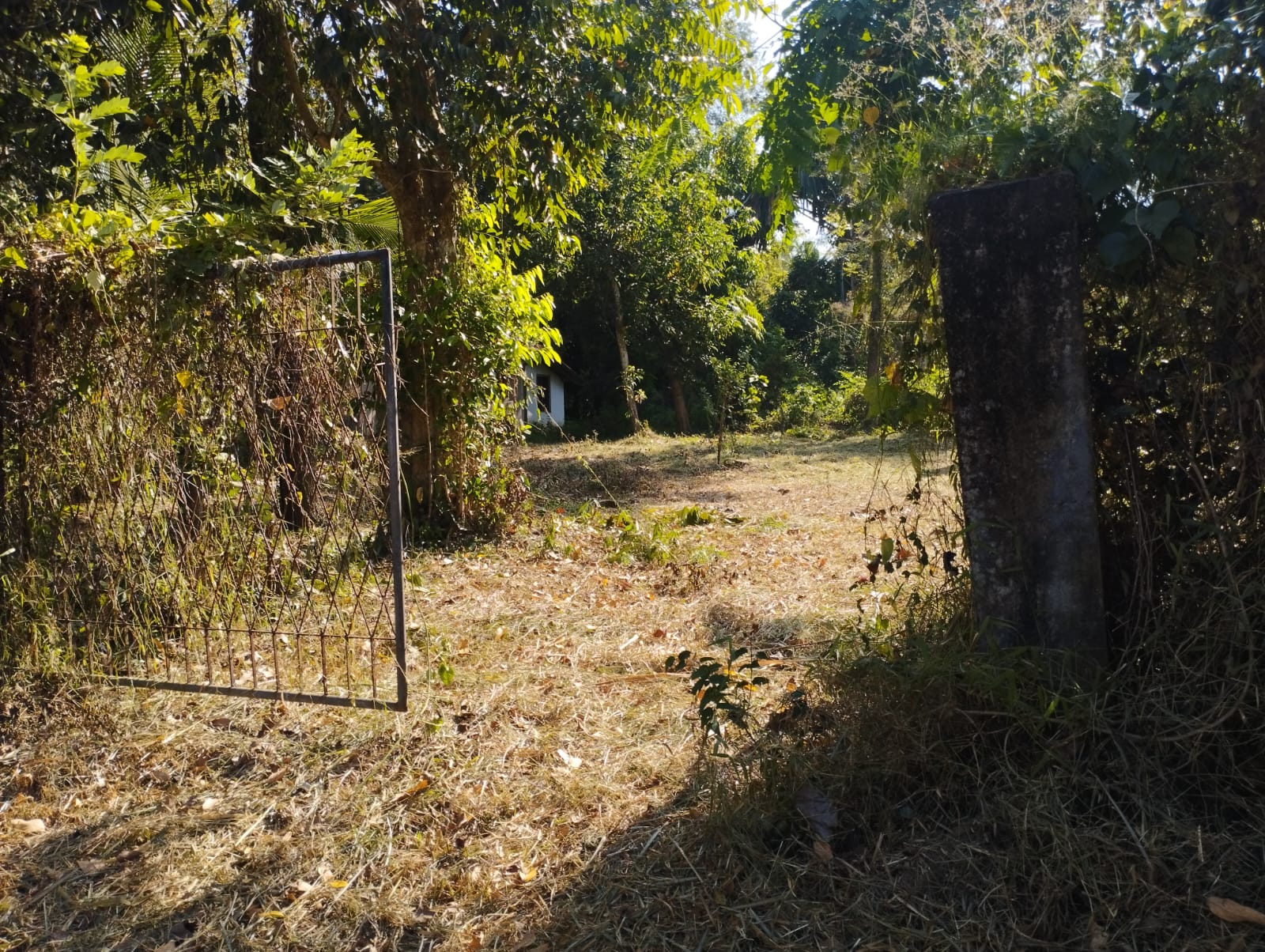 Residential Land for Sale near  Piduruwella