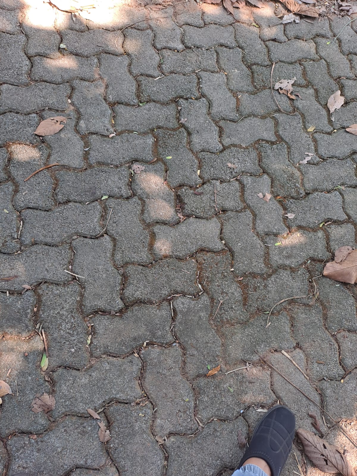 Land For Sale In Gampaha Yakkala