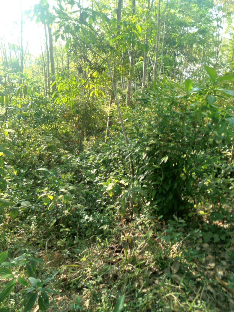 Land for Sale Galapitamada Alpitiya
