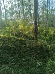 WhatsApp-Image-2026-02-24-at-20.02.13