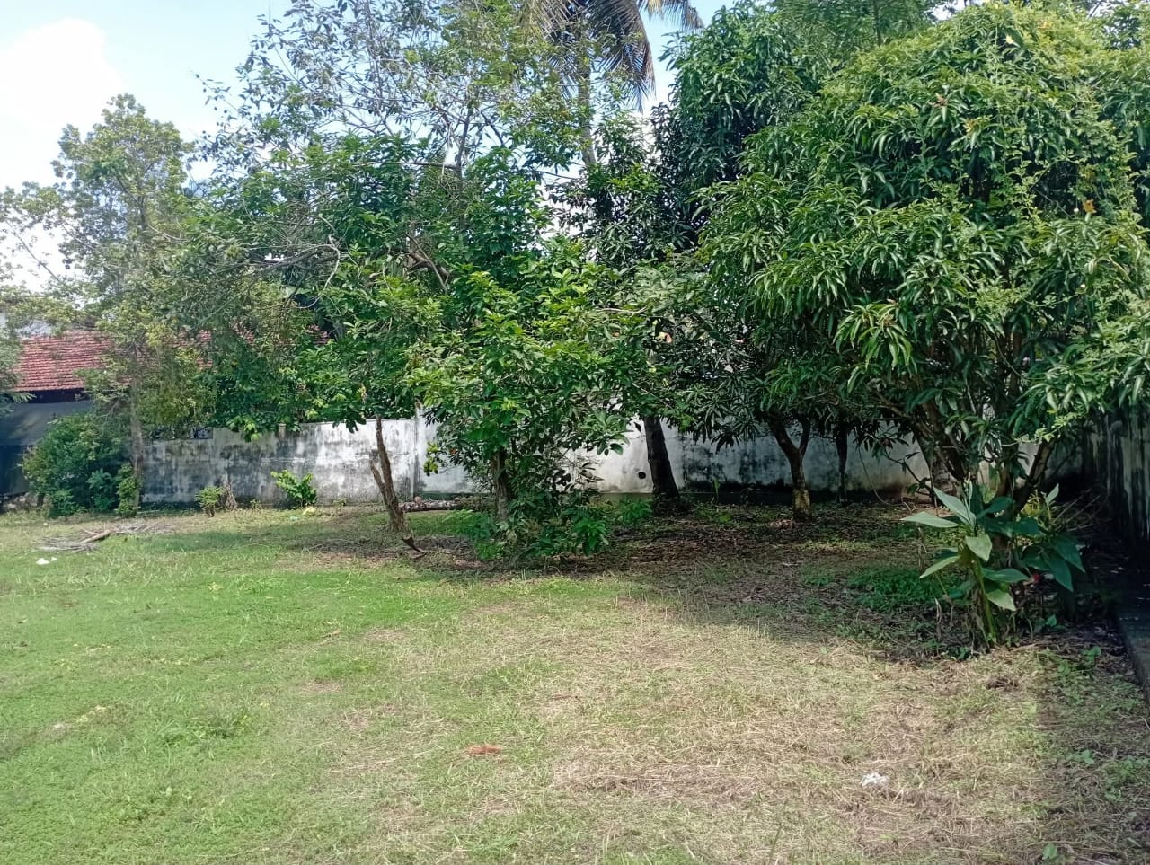 Residential Land for Sale in Boralesgamuwa