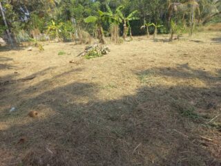 WhatsApp-Image-2026-02-25-at-11.00.04-1