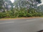 Commercial Land for Sale in Dambulla