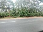 Commercial Land for Sale in Dambulla