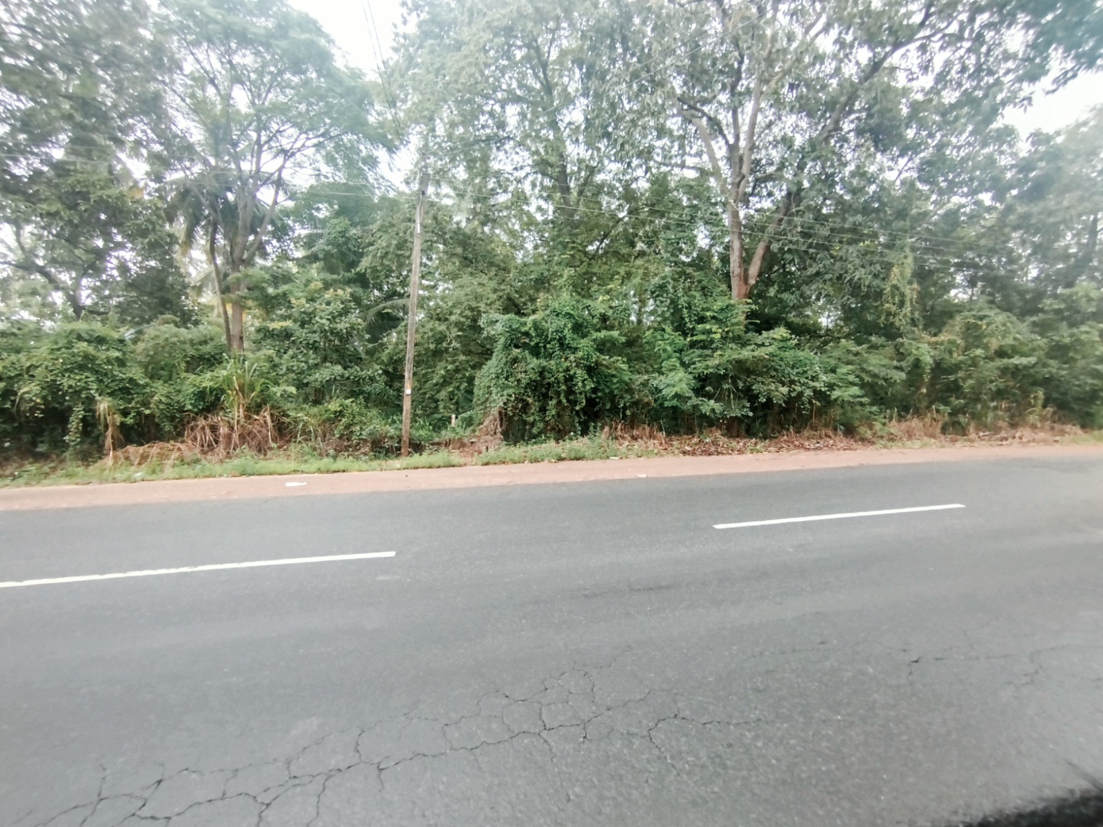 Commercial Land for Sale in Dambulla